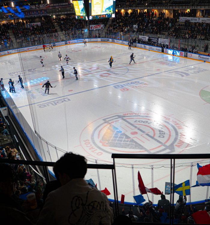 Ducs d’Angers vs Boxers Bordeaux – Mars 2025